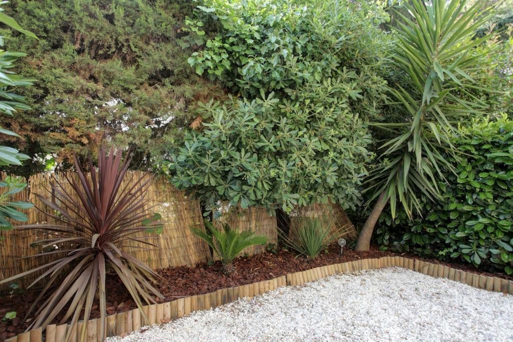 Beautiful Close To Private Parking Appartement Villeneuve-Loubet